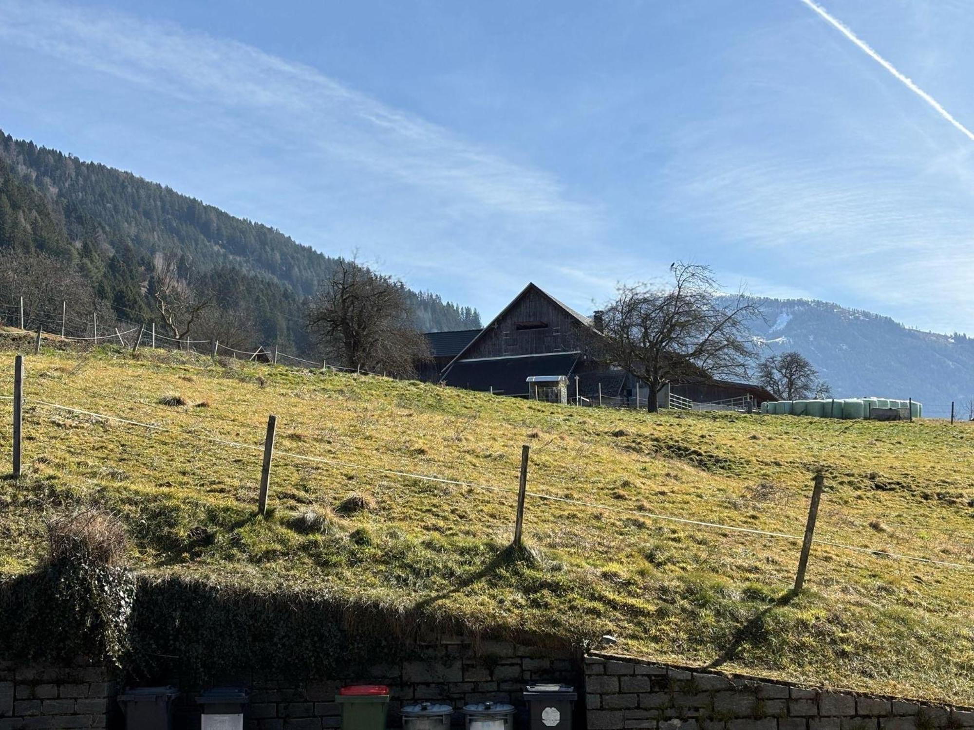 Moderne-Ferienwohnung-Nur-1Km-Vom-Millstaetter-See-In-Kaernten-Entfernt Millstatt Dış mekan fotoğraf