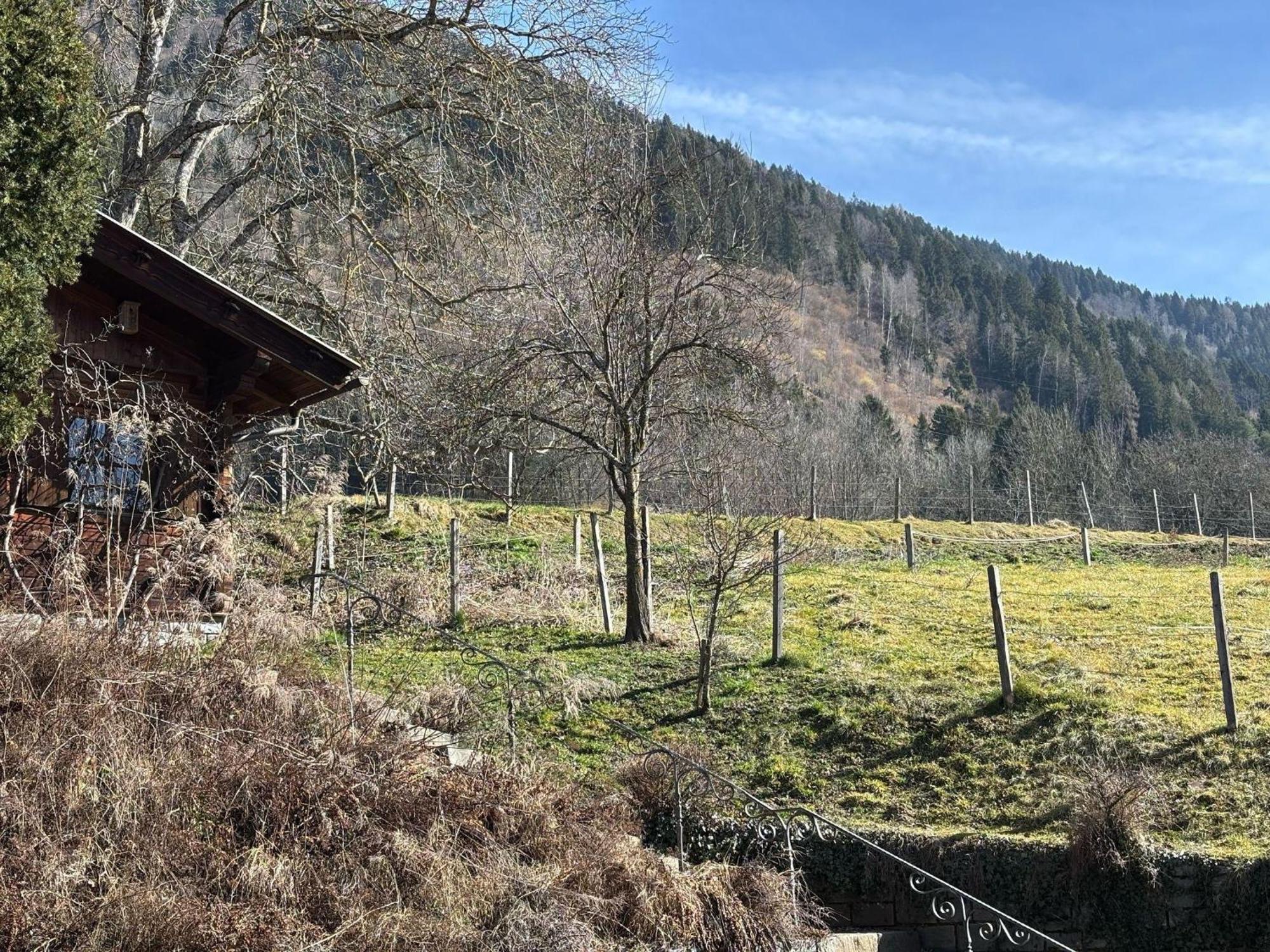 Moderne-Ferienwohnung-Nur-1Km-Vom-Millstaetter-See-In-Kaernten-Entfernt Millstatt Dış mekan fotoğraf